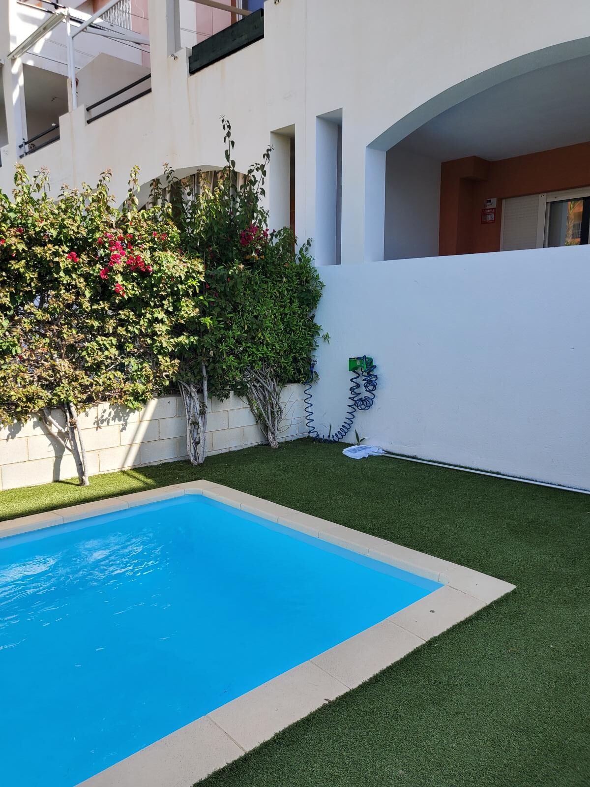 En swimmingpool med konstgräs, en vit byggnad med balkonger och ett träd med röda blommor.