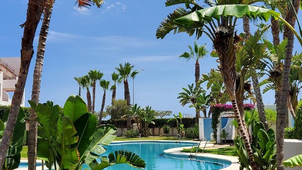 A pool surrounded by palm trees and lush greenery, with a clear blue sky in the background. - CT 362 AL First Line Beachfront Vera Playa ID 791 (Vera)