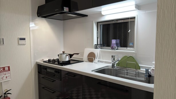 Una cocina compacta con estufa a gas, un lavamanos y una ventana sobre la encimera.