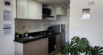 Centrally located apartment with fresh leaves