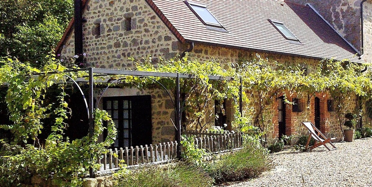 Imagen de perfil del propietario o de la propietaria