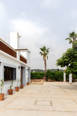 A white building with terracotta roof tiles, potted plants, and a palm tree in the background.