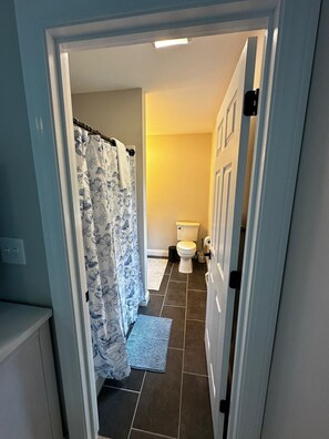 Une salle de bain avec des toilettes, un rideau de douche et un tapis.