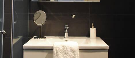 Douche, sèche-cheveux, serviettes fournies, papier toilette