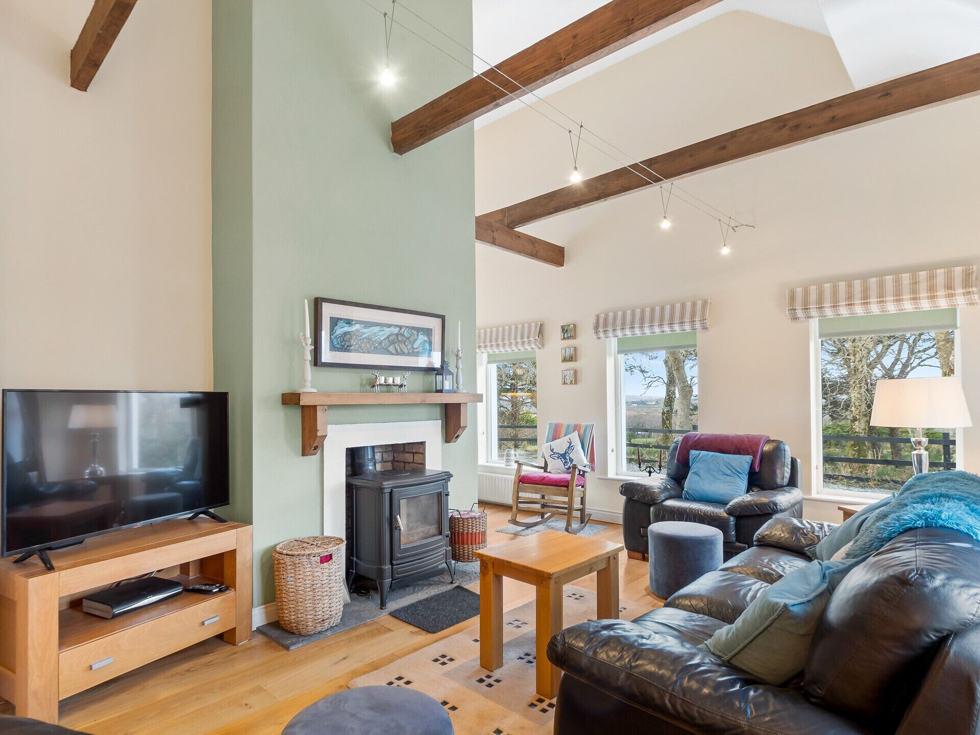 TV, fireplace, DVD player