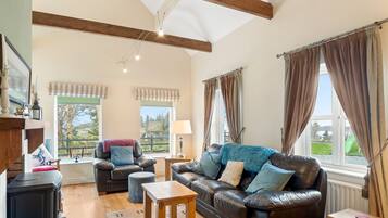 TV, lareira, DVD player