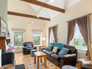 TV, fireplace, DVD player