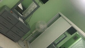 Een slaapkamer met een bed, een dressoir, een spiegel, een ventilator en een deur.