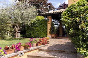 A stone pathway leading to a covered area with potted plants and a tree.
