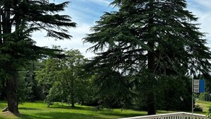 Un chemin bordé d’une balustrade blanche, entouré d’une végétation luxuriante et d’arbres.