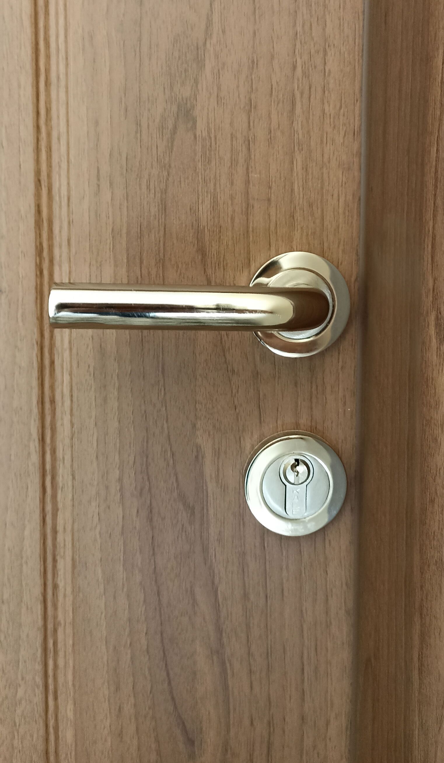 Une porte dotée d’une poignée métallique et d’un trou de serrure.