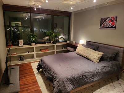 Downtown Penthouse River View