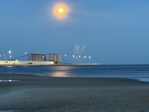 Playa en los alrededores, camastros y toallas de playa 