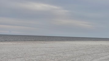 Tæt på stranden, liggestole, badehåndklæder