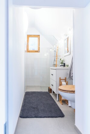Hair dryer, towels, soap, toilet paper