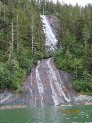 Miscellaneous - Cozy Luxury, Close to Downtown! 204 (Juneau)