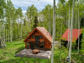 Exterior - Secluded Cabin on 11 Acres w/Mountain Views! 25 Min to Telluride! (Placerville)