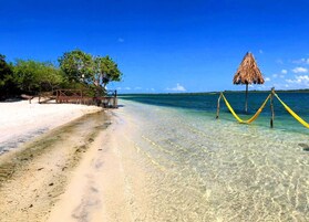 Ιδιωτική παραλία, λευκή άμμος, λεωφορειάκι για την παραλία