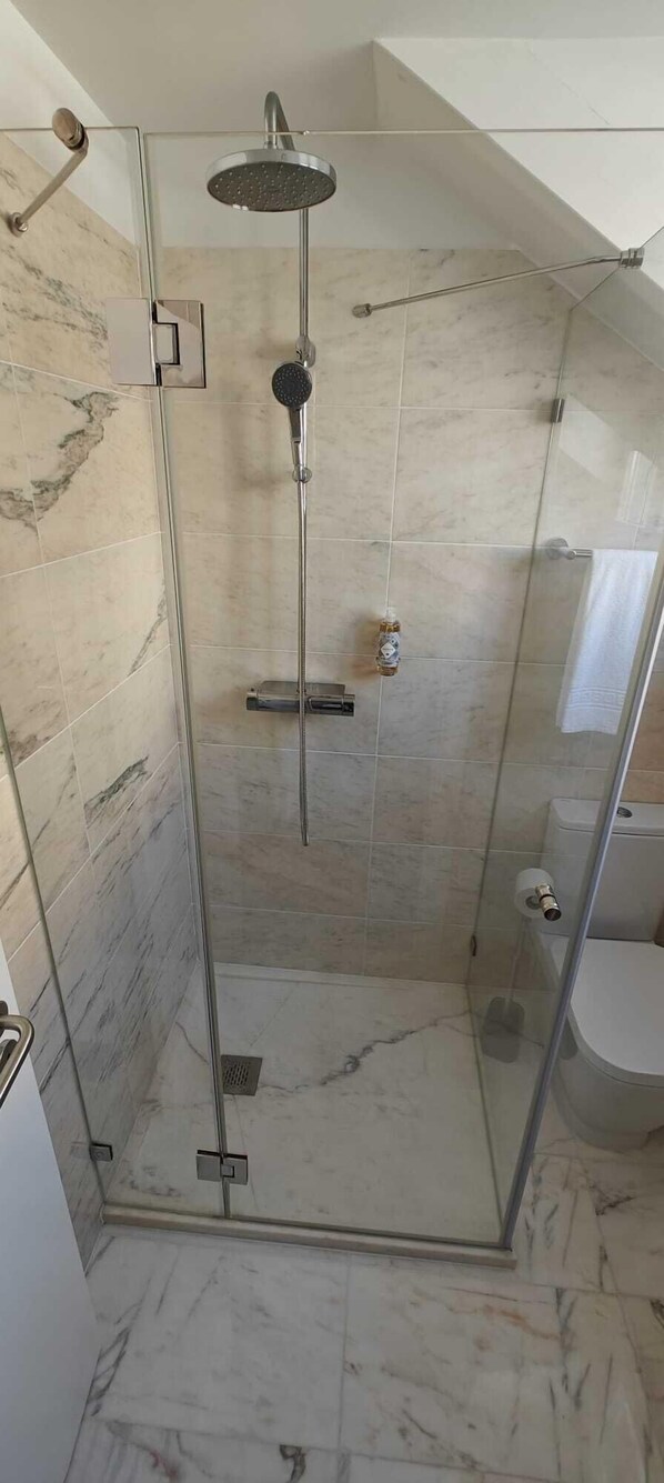 A glass-enclosed shower with a handheld showerhead and a fixed overhead showerhead.