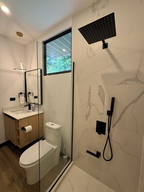 A modern bathroom with a glass-enclosed shower, a toilet, and a sink with a mirror.