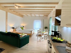 Interior - Schönes helles Studio-Appartement mit großem Balkon (Engelsbrand)
