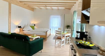 Schönes helles Studio-Appartement mit großem Balkon