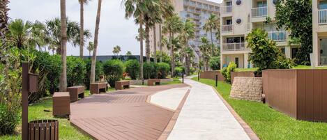 A pathway leading to a building with balconies, surrounded by palm trees and greenery.
