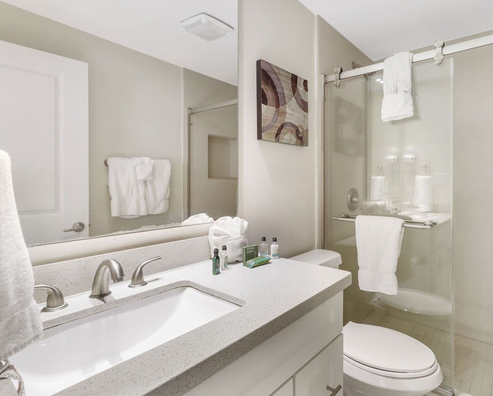 A modern bathroom with a large sink, a glass shower enclosure, and a toilet.