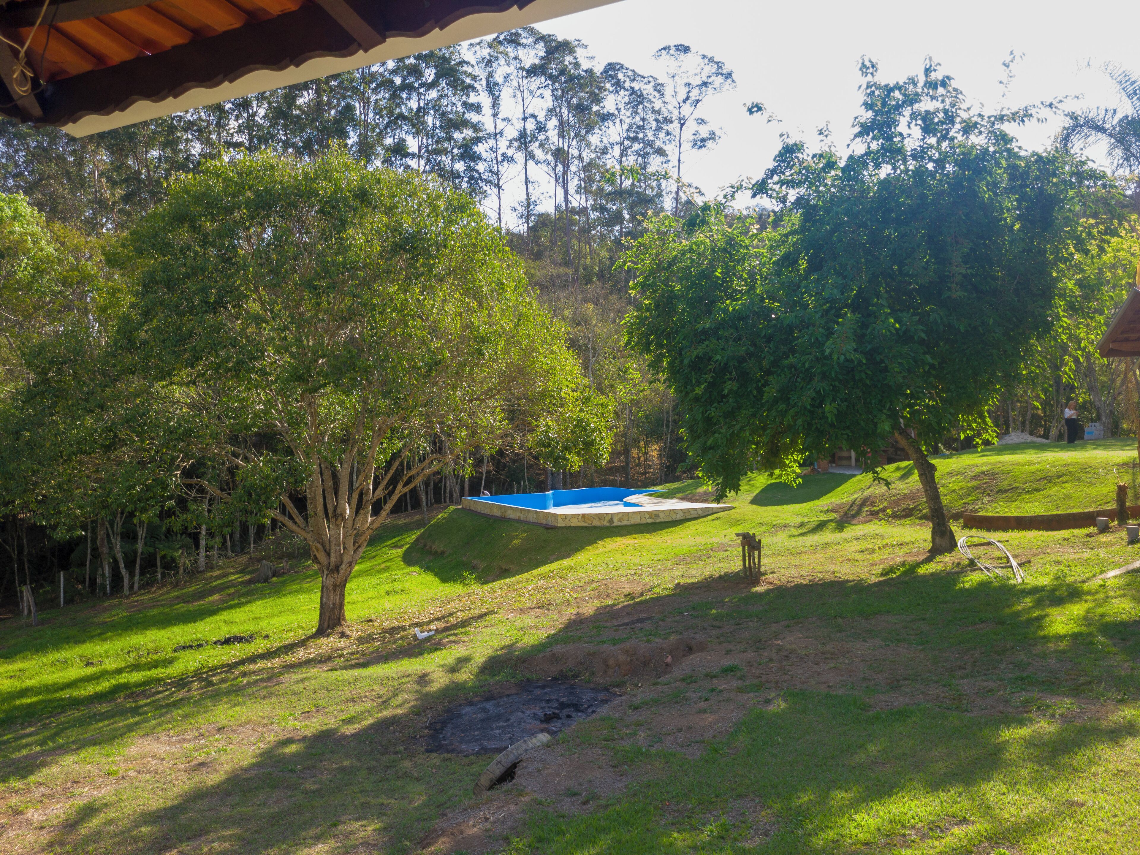 Un jardin avec une piscine, des arbres et une pelouse.