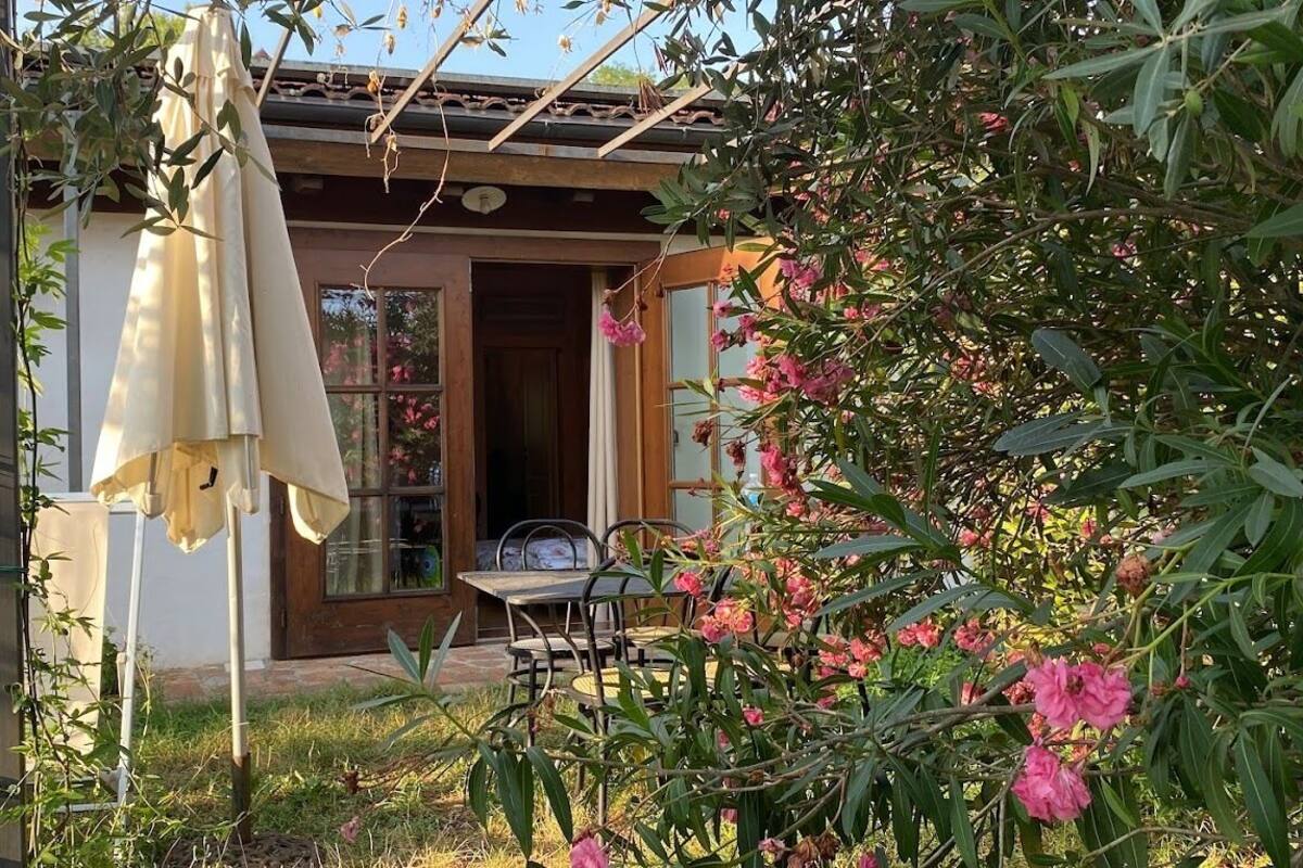 Comfort Chalet, Hill View, Garden Area | Garden view