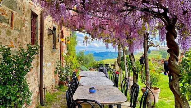 Un espace de restauration en plein air, avec des tables et des chaises disposées sous une pergola recouverte de fleurs violettes.