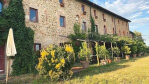 Un bâtiment en pierre avec un jardin devant, agrémenté de plantes en pot et d’un arbuste jaune en fleurs.