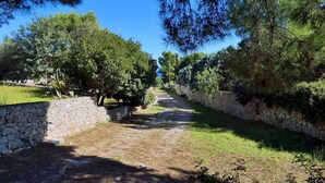 A stone pathway flanked by trees and vegetation, leading into a natural setting.
