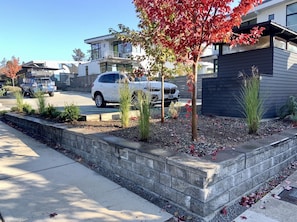 Property grounds - Central/Modern/Immaculate/Family Friendly (Eastsound)