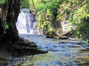 Una cascada en un área boscosa con un arroyo rocoso.