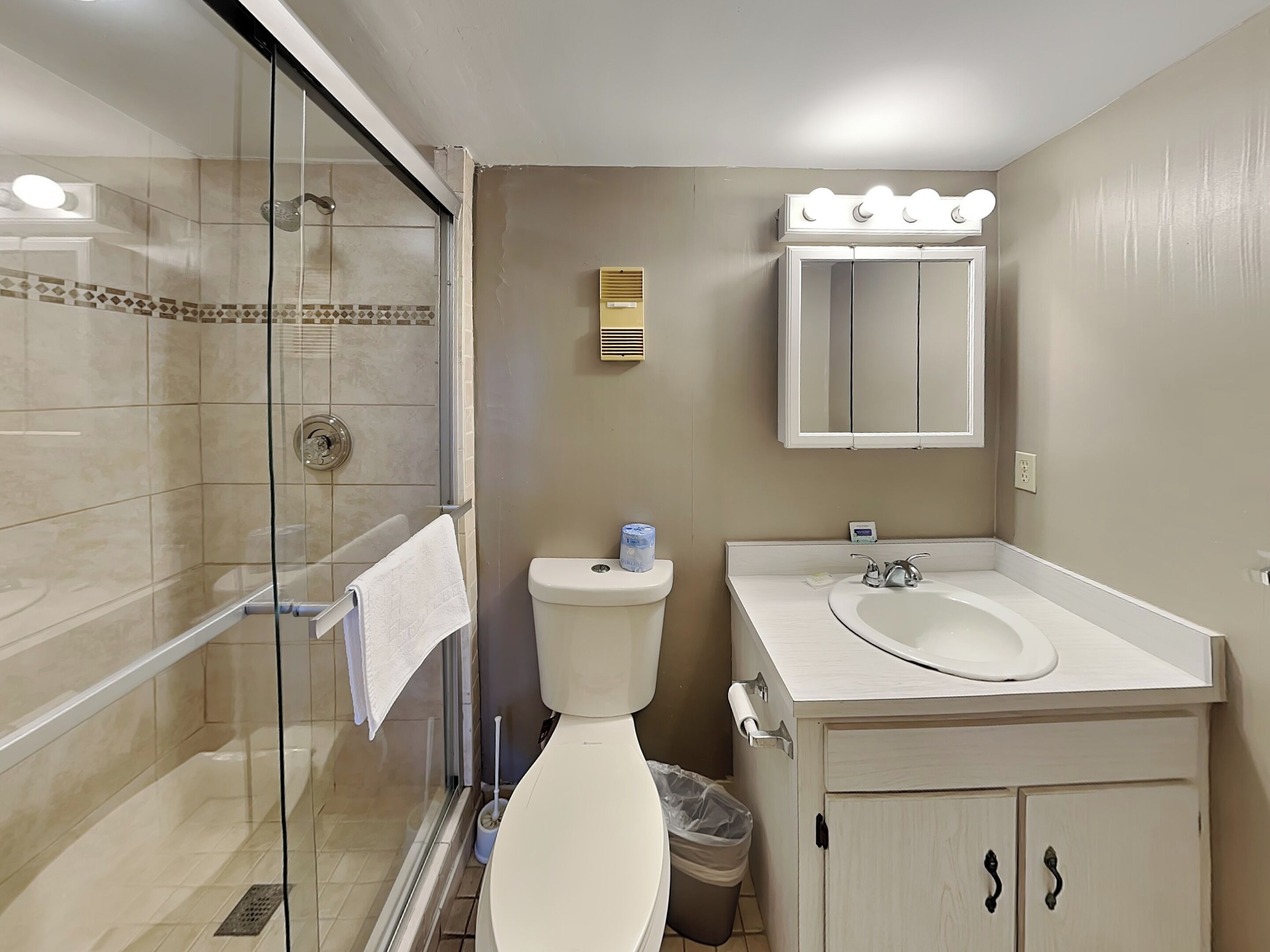 Une salle de bain avec une douche à parois de verre, des toilettes, un lavabo avec un meuble-vasque et un miroir avec des lumières au-dessus.