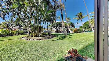 Condo (1 Bedroom) | Kemudahan hartanah