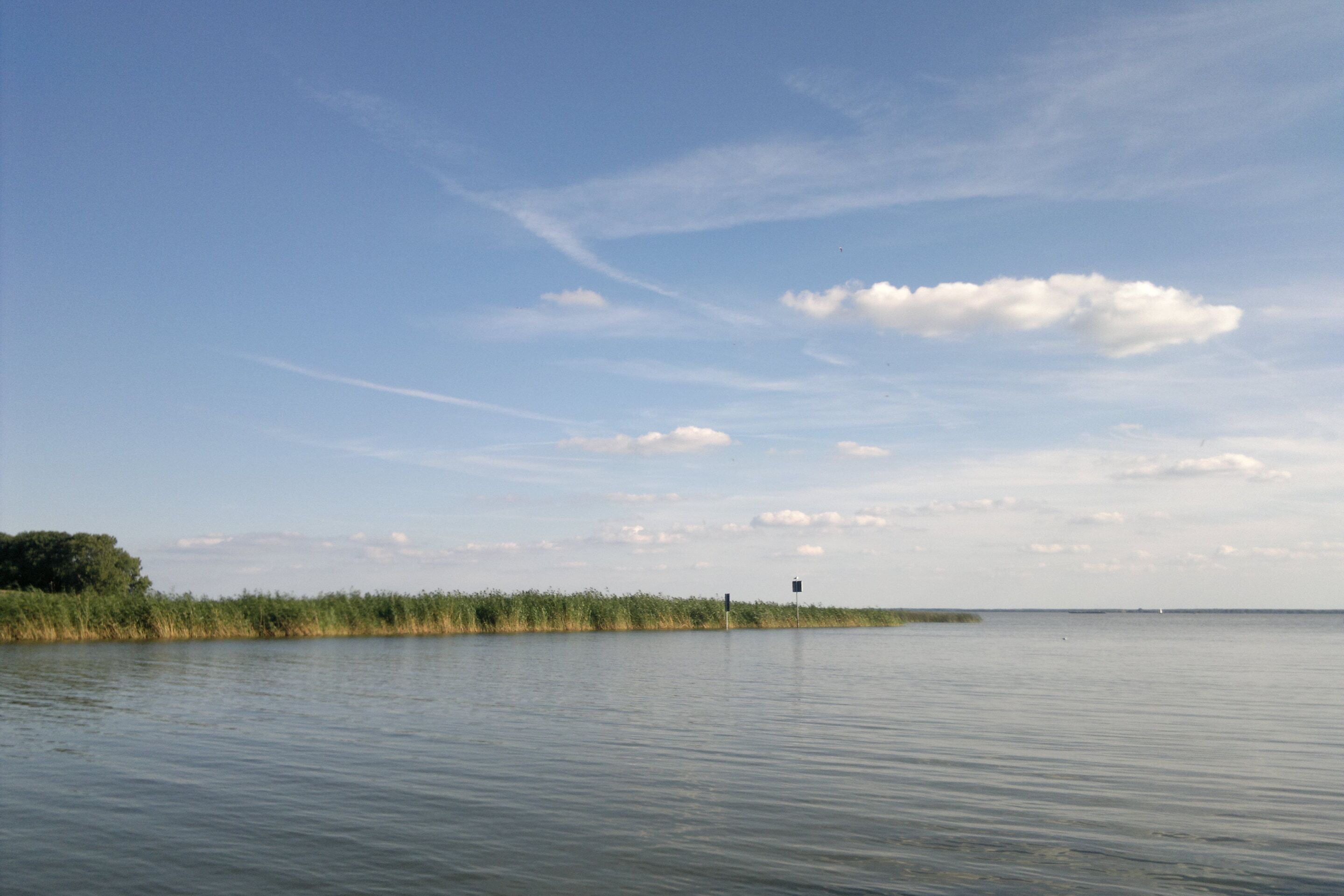 A calm lake with a clear sky and distant shoreline vegetation.