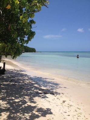 A beach with clear turquoise water, a person in the water, and a tree with green leaves casting shadows on the sand.