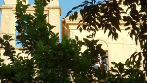 Un bâtiment à l’architecture classique, avec des colonnes et un dôme, en partie dissimulé par le feuillage.