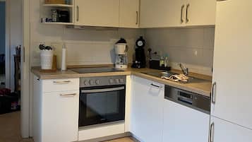 Kühlschrank, Mikrowelle, Herdplatte, Geschirrspüler