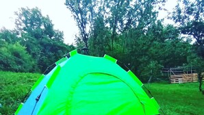 A green tent set up in a grassy area with trees in the background. - Spacious 5-bedroom villa with swimming pool  WiFi and AC in lovely Alaverdi (Alaverdi)