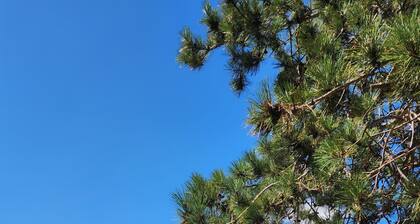 NEW! Peaceful Retreat at Nary Hill
