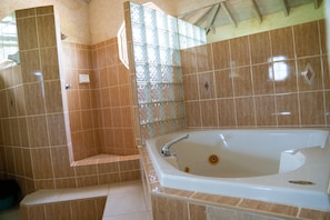 Dusche, Whirlpool, Haartrockner, Handtücher