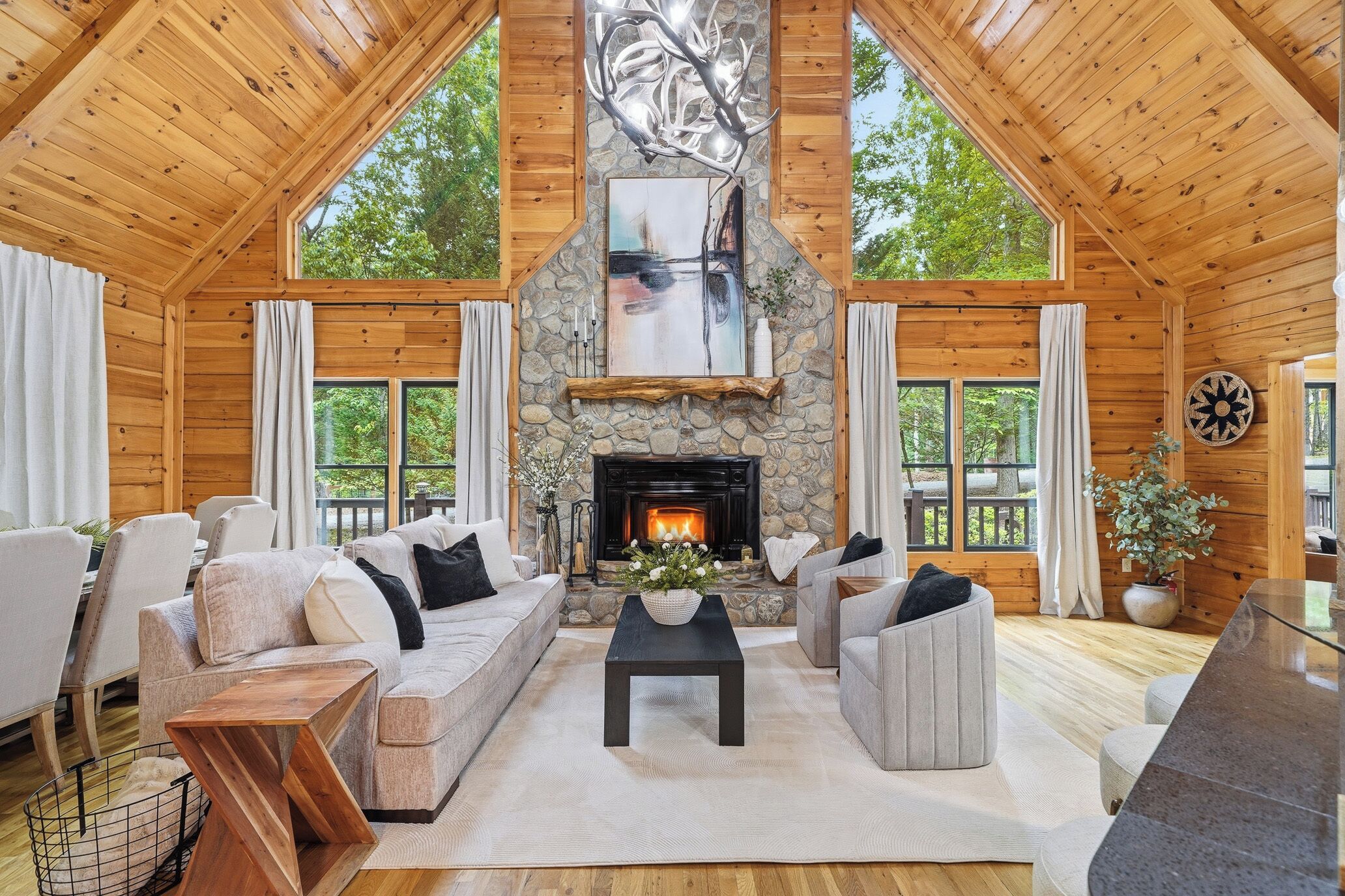 Smart TV, fireplace, ping pong, books