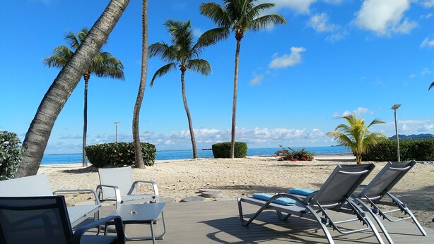 A beachside lounge with sun loungers and a table, palm trees, and a view of the sea. - Friendly Beach House (Sandy Ground)