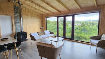 Smart-TV, Kamin