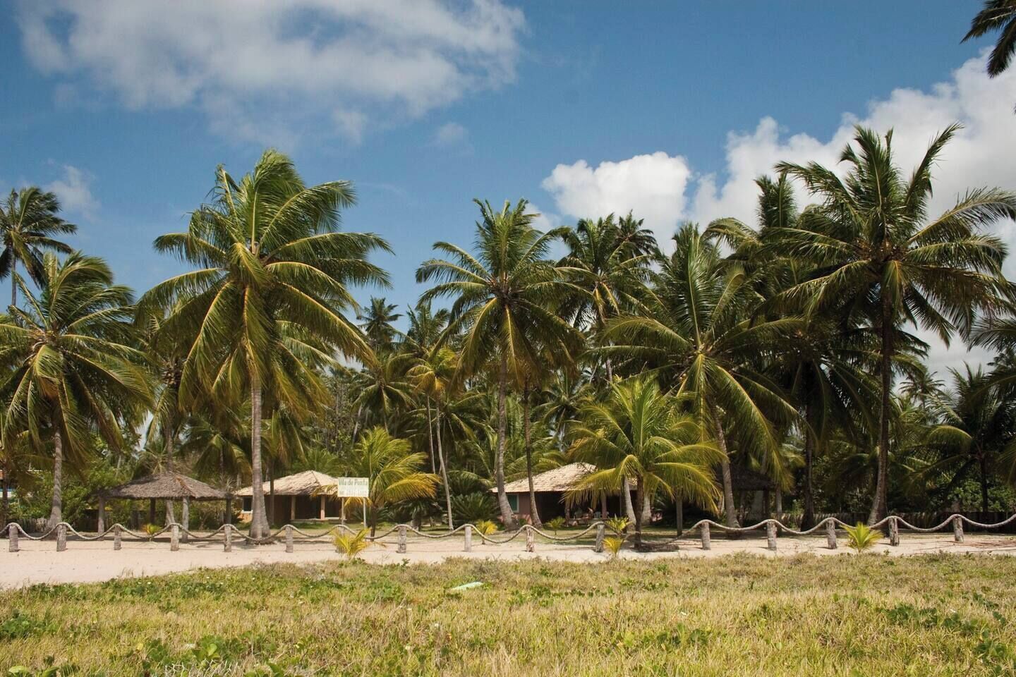 Ein Strand mit Palmen und einer strohgedeckten Hütte, auf der das Schild "Villa de la Playa" zu sehen ist.