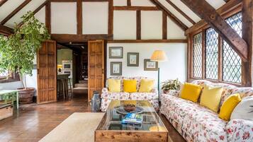Smart TV, fireplace, DVD player