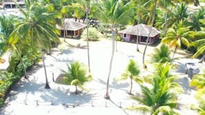 A beach area with palm trees and two small huts. - Ponta Village - Paradise in Maragogi - Cottage 02 (Maragogi)